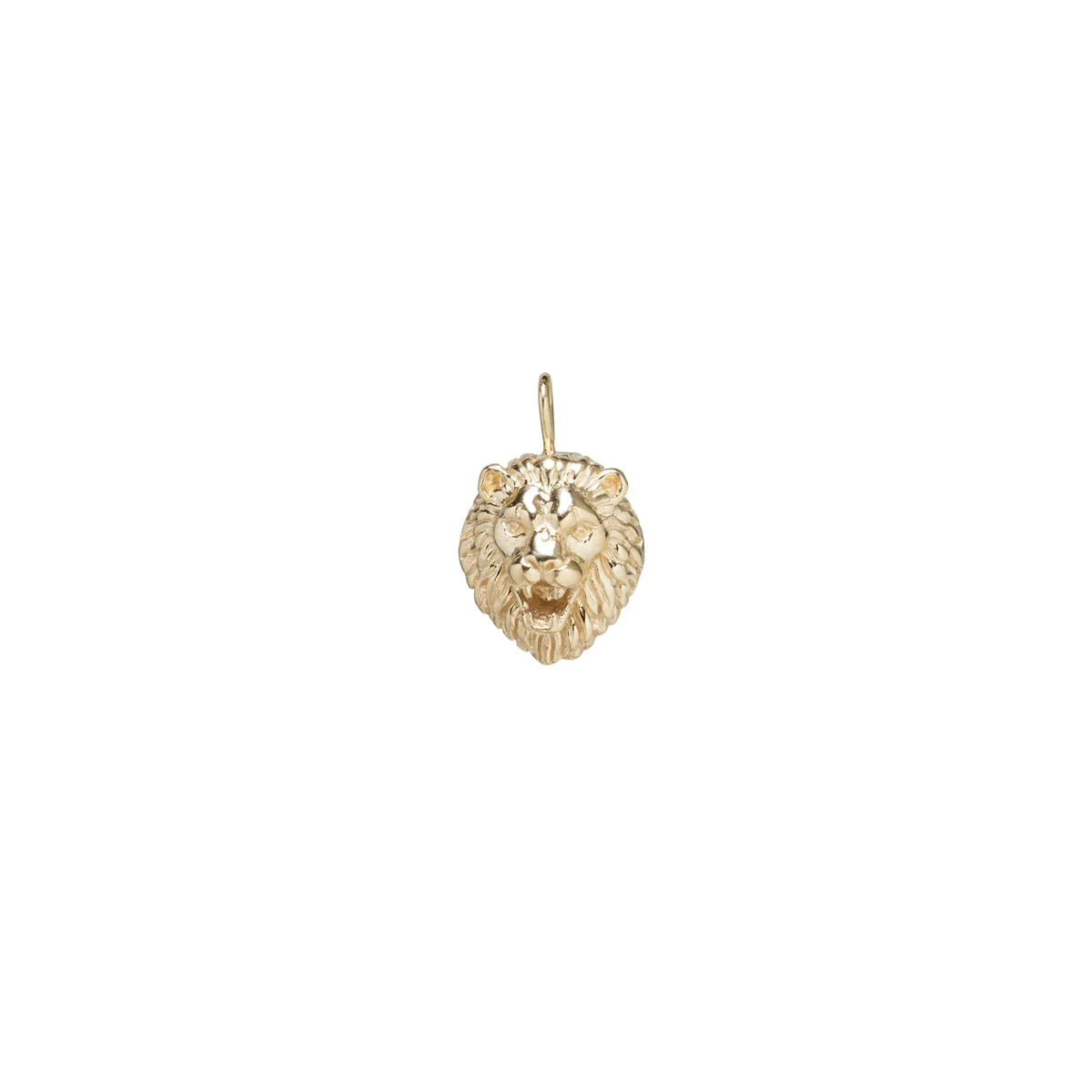 14k Lion Head Charm Pendant