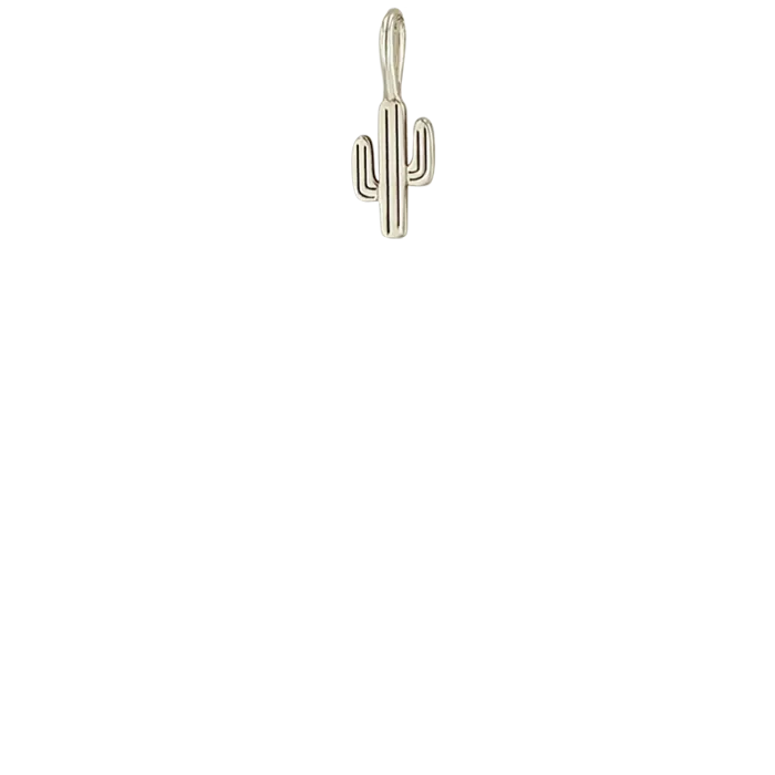 14k Midi Bitty Cactus Charm