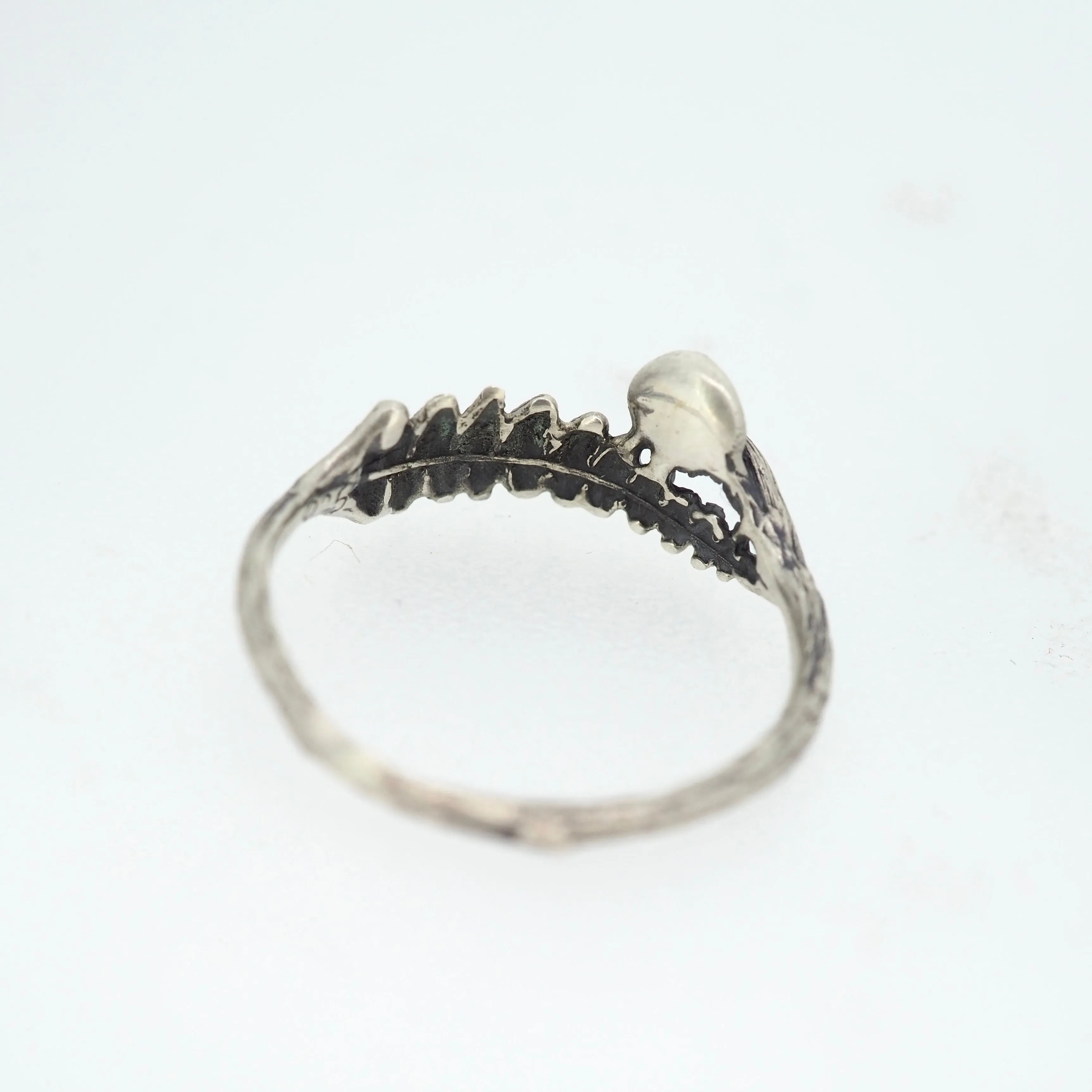 Fern and mushroom ring