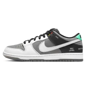 Nike Dunk Low SB 'Camcorder'